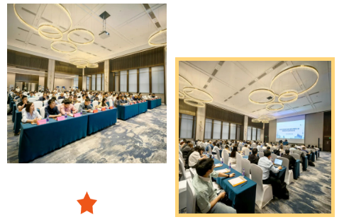 1744945029926007.png 1744945021295.png